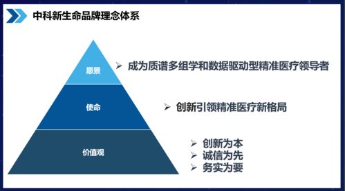 知名品牌咨询公司行舟品牌服务模块解析 聚焦品牌核心理念与软件信息技术咨询服务